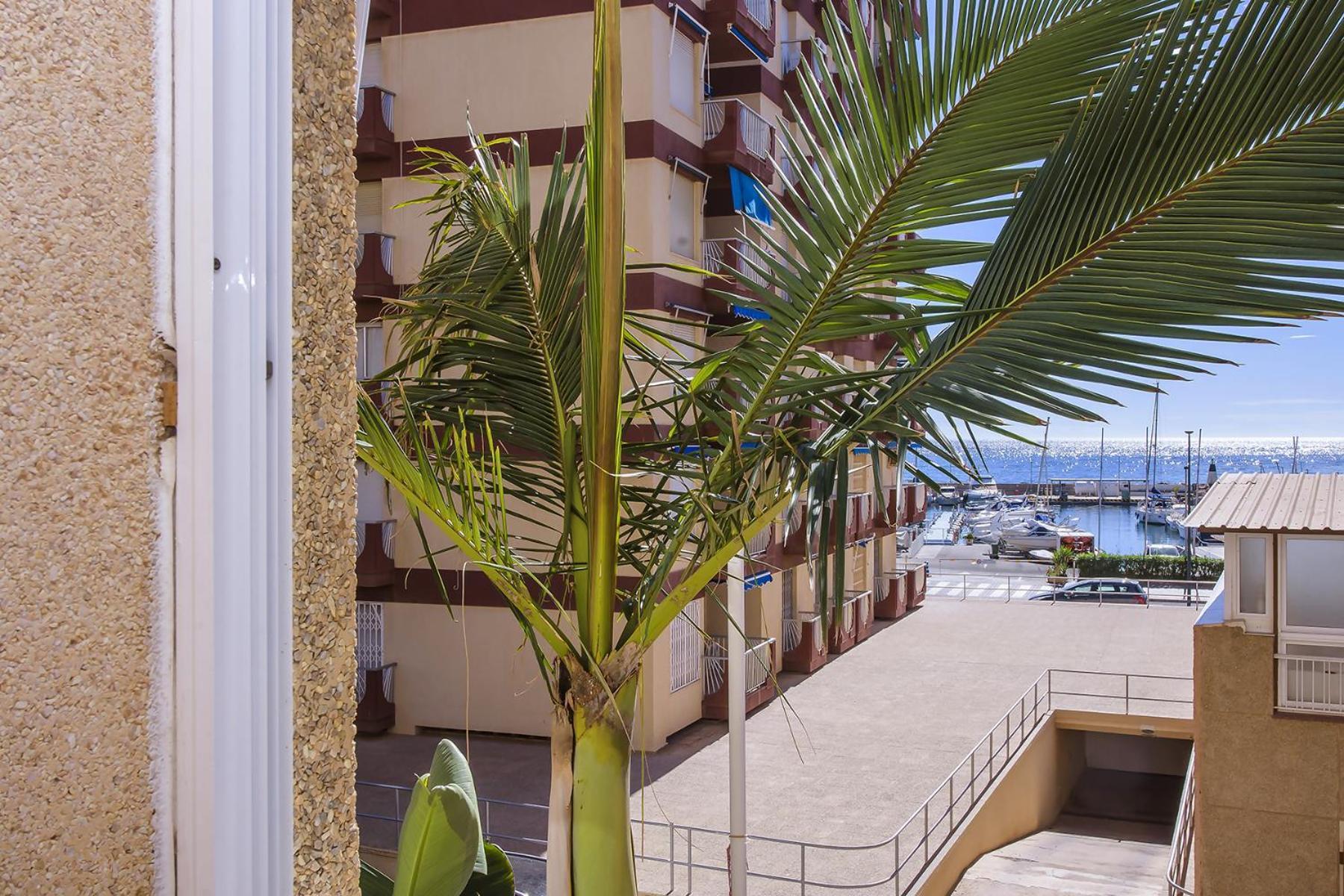 Delicias Piscina Wifi Ac Parking Gratis *